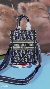 DIOR Handbags 601